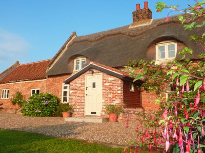 The front of the house in full bloom