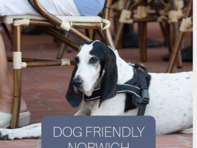 Dog Friendly Norwich