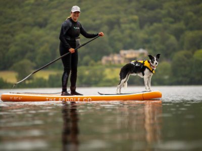 Paddle boarding dog