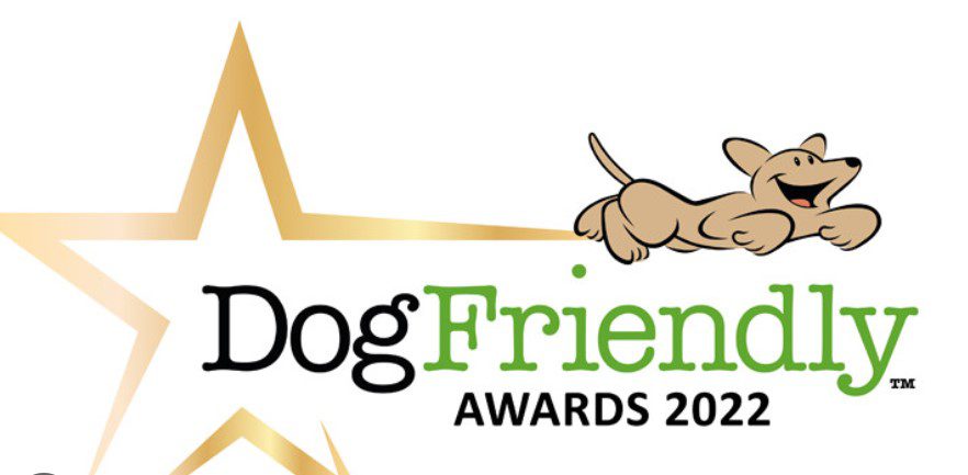 dog friendly winner dog friendly awards